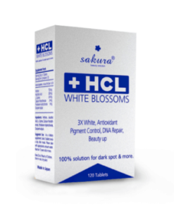 Sakura HCL White Blossoms