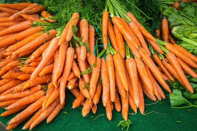 cà rốt có thể cung cấp sự bảo vệ chống lại cháy nắng